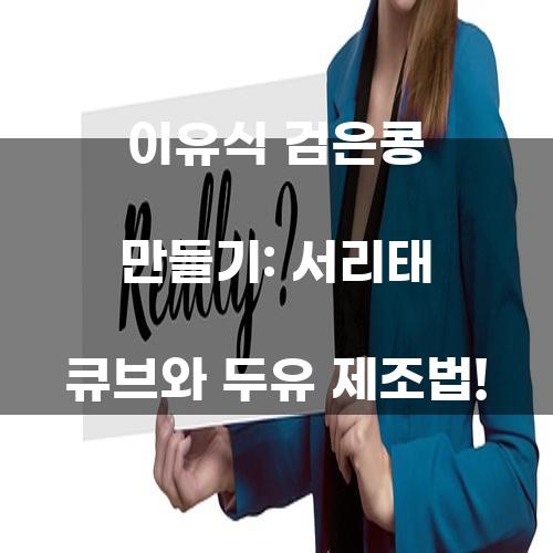 이유식 검은콩 만들기: 서리태 큐브와 두유 제조법!