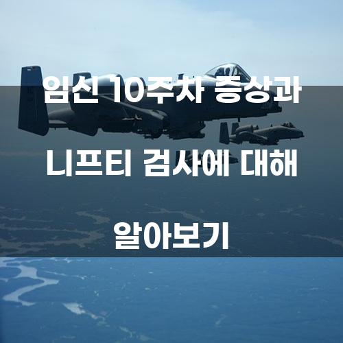 임신 10주차 증상과 니프티 검사에 대해 알아보기