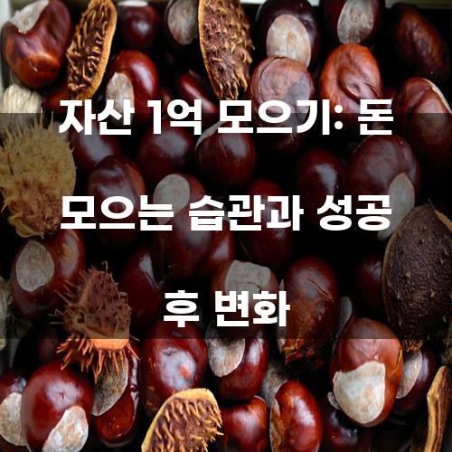 자산 1억 모으기: 돈 모으는 습관과 성공 후 변화