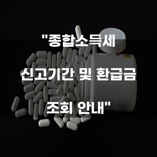 종합소득세 신고기간 및 환급금 조회 안내