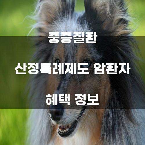 중증질환 산정특례제도 암환자 혜택 정보