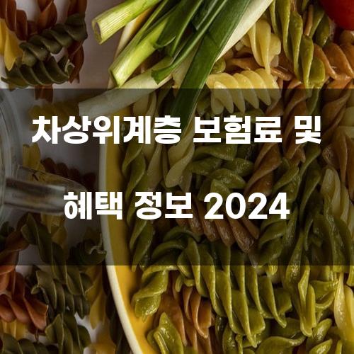 2024 차상위계층 보험료 및 혜택 정보