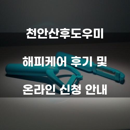 천안산후도우미 해피케어 후기 및 온라인 신청 안내