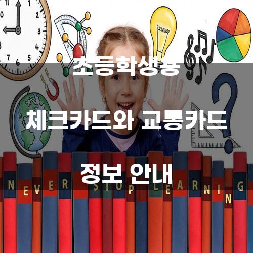 초등학생을 위한 체크카드와 교통카드 정보 안내