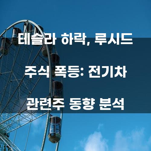 테슬라의 하락과 루시드 주식 폭등: 전기차 관련주 동향 분석