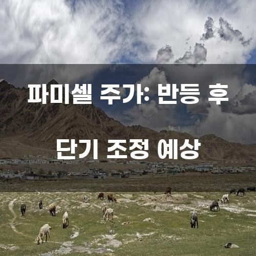 파미셀 주가: 반등 후 단기 조정 예상