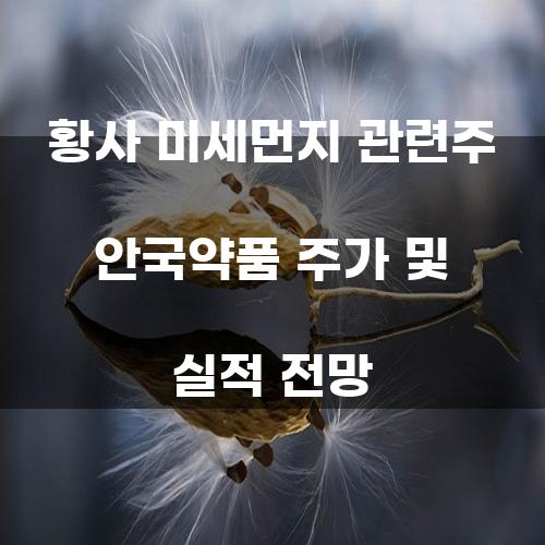 황사 미세먼지와 안국약품의 관련성