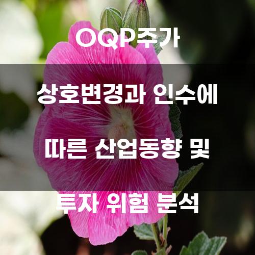 OQP주가 상호변경과 인수에 따른 산업동향 및 투자 위험 분석