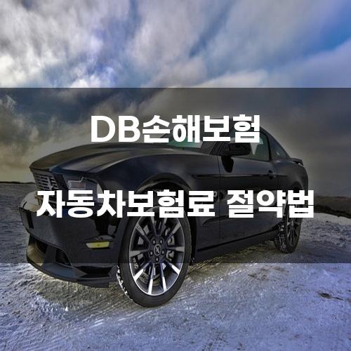 DB손해보험 자동차보험료 절약법