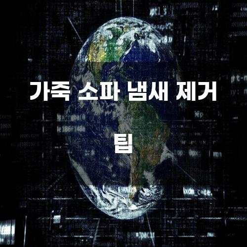 가죽 소파 냄새 제거 팁