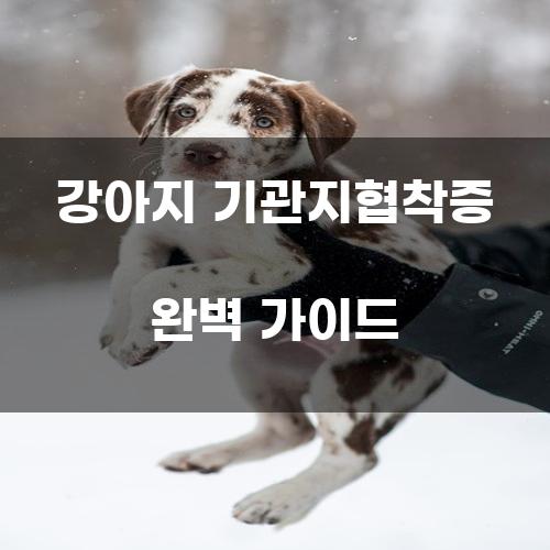강아지 기관지협착증 완벽 가이드