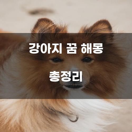 강아지 꿈 해몽 총정리