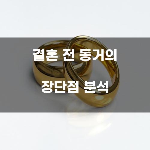 결혼 전 동거의 장단점 분석