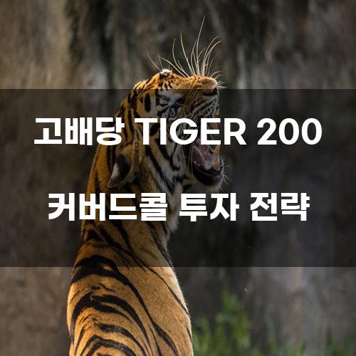 고배당 TIGER 200 커버드콜 투자 전략