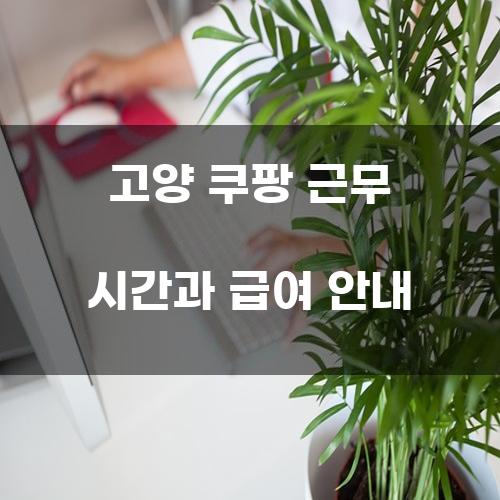 고양 쿠팡 근무 시간과 급여 안내