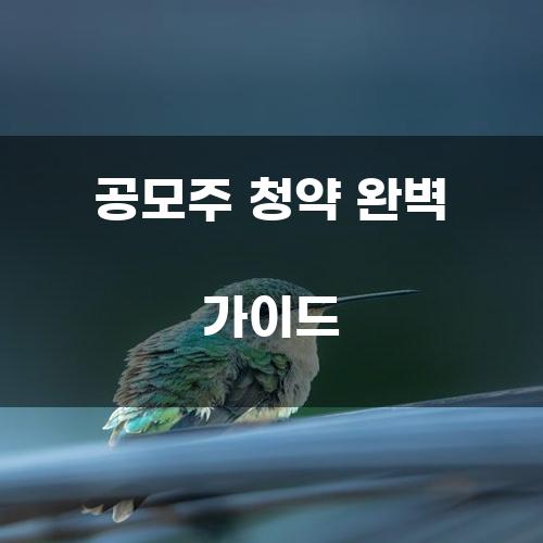 공모주 청약 완벽 가이드