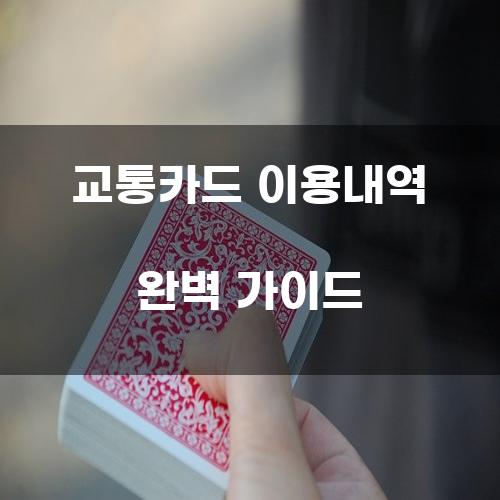교통카드 이용내역 완벽 가이드