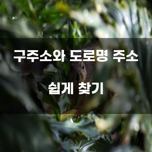 구주소와 도로명 주소 쉽게 찾기