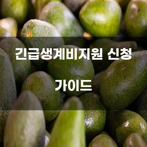 긴급생계비지원 신청 가이드