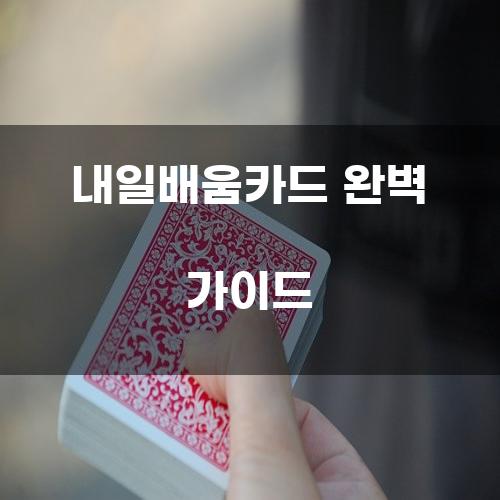 내일배움카드 완벽 가이드
