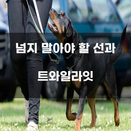 넘지 말아야 할 선과 트와일라잇