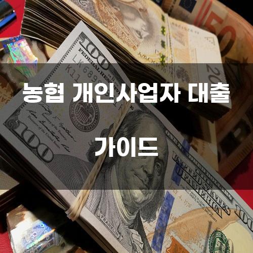 농협 개인사업자 대출 가이드