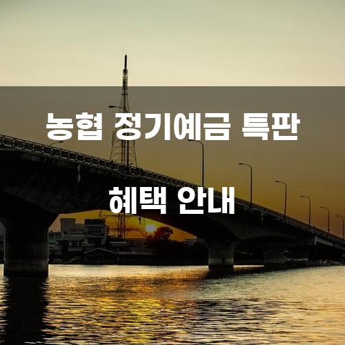 농협 정기예금 특판 혜택 안내