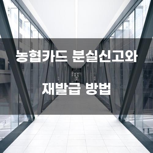 농협카드 분실신고와 재발급 방법