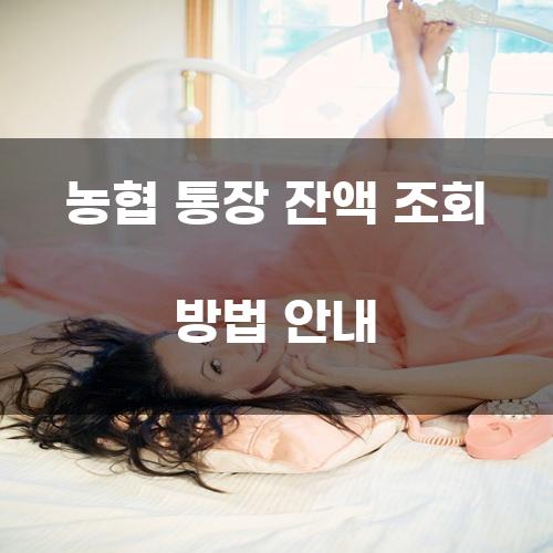 농협 통장 잔액 조회 방법 안내