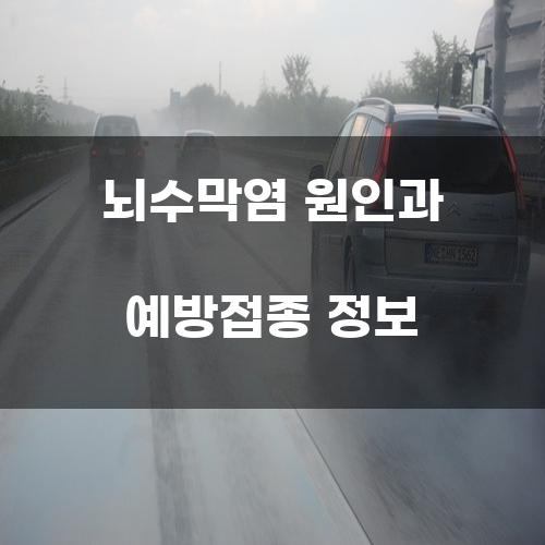 뇌수막염 원인과 예방접종 정보