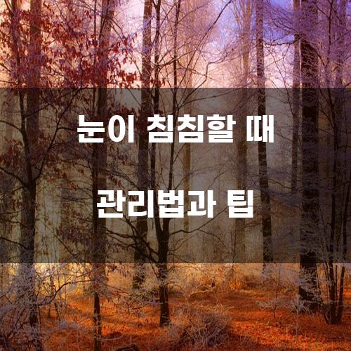 눈이 침침할 때 관리법과 팁