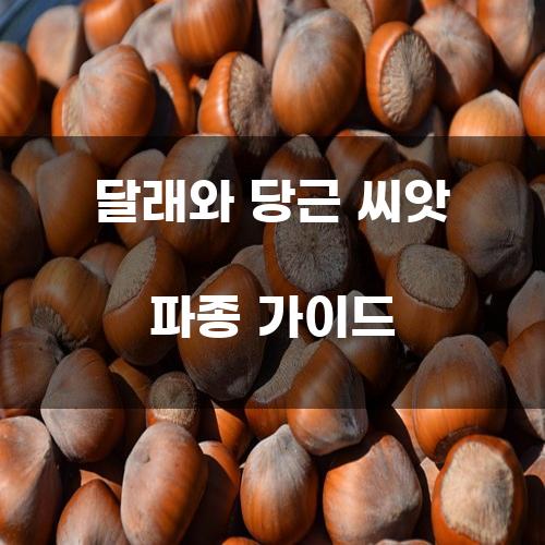 달래와 당근 씨앗 파종 가이드
