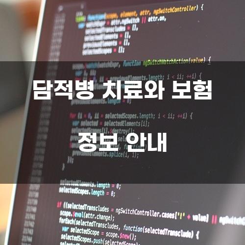 담적병 치료와 보험 정보 안내
