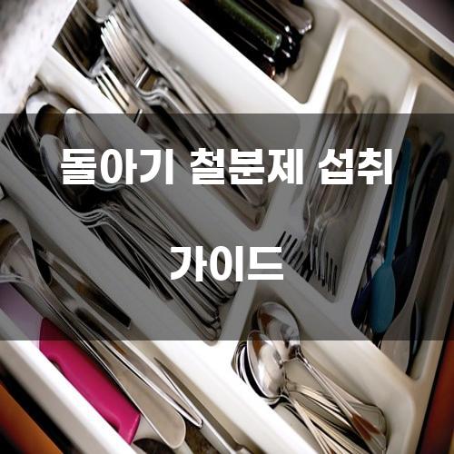 돌아기 철분제 섭취 가이드