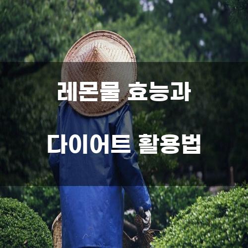 레몬물 효능과 다이어트 활용법