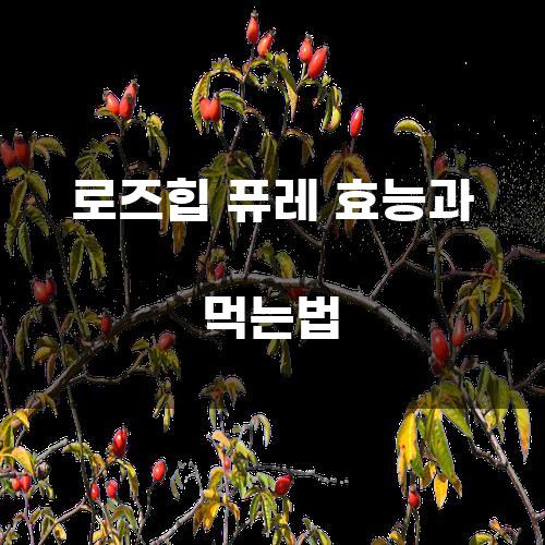 로즈힙 퓨레 효능과 먹는법