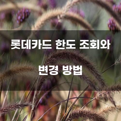 롯데카드 한도 조회와 변경 방법