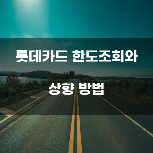 롯데카드 한도조회와 상향 방법