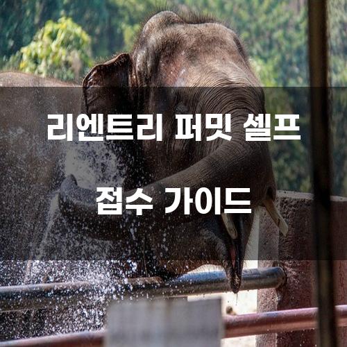 리엔트리 퍼밋 셀프 접수 가이드