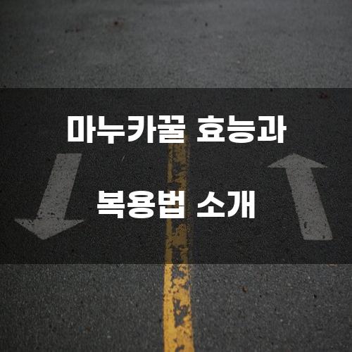 마누카꿀 효능과 복용법 소개