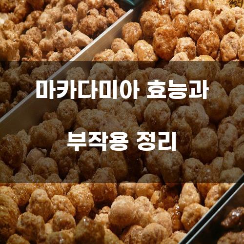 마카다미아 효능과 부작용 정리