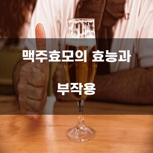 맥주효모의 효능과 부작용