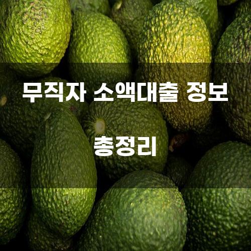 무직자 소액대출 정보 총정리