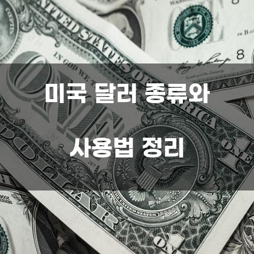미국 달러 종류와 사용법 정리