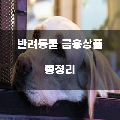 반려동물 금융상품 총정리