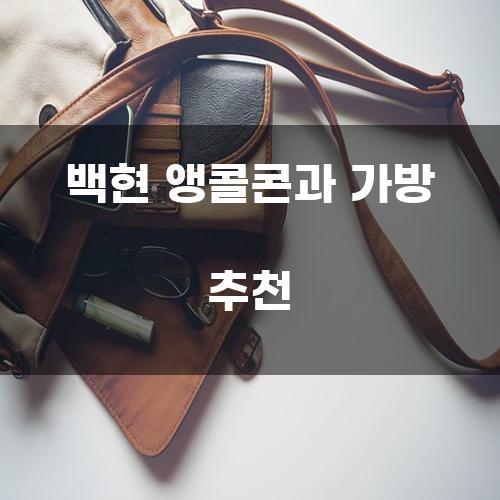 백현 앵콜콘과 가방 추천