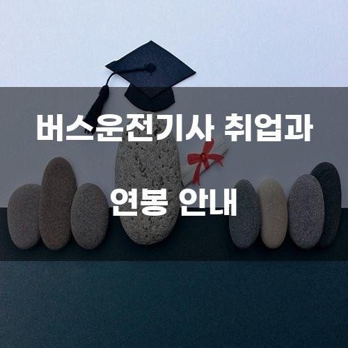 버스운전기사 취업과 연봉 안내