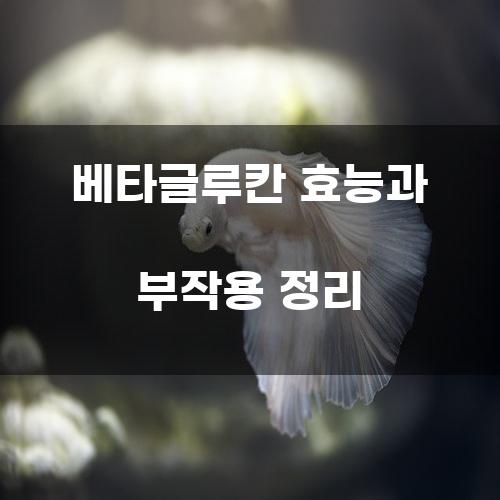 베타글루칸 효능과 부작용 정리