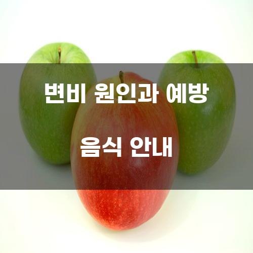 변비 원인과 예방 음식 안내