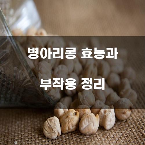 병아리콩 효능과 부작용 정리